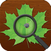 Plant sample submission app