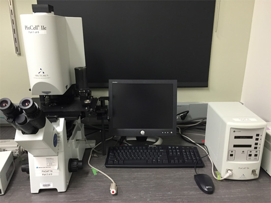 Laser Capture Microdissection (LCM) Core – COR²E – UConn Center for ...